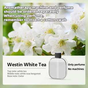 Automatic Scent Sprayer – Home & Bathroom Deodorizer