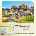  1Pc Machine 1Pc Oil (496)